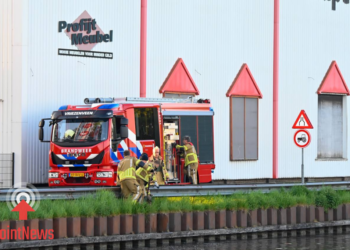 Dier te water bij Daarlerveenseweg in Vriezenveen Reebok succesvol gered door brandweer