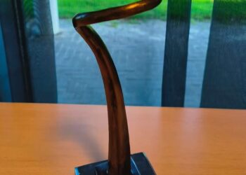 Nomineer jouw vrijwilliger voor de Vrijwilligerswisselbokaal