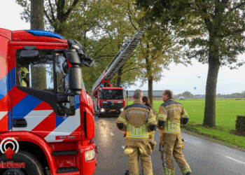 Loshangende tak verwijderd door brandweer in Vriezenveen