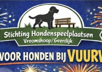 Tips voor een veilige en rustige jaarwisseling met uw hond