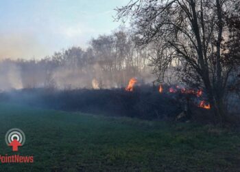 Flinke rookontwikkeling bij natuurbrand in Westerhaar-Vriezenveensewijk