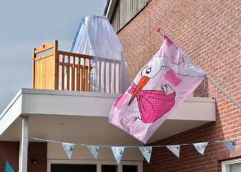 Den Ham in de ban van dorpsquiz Tachtig teams doen mee