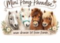 Binnenkort in Westerhaar en omstreken Welkom bij Mini Pony Paradise