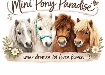 Binnenkort in Westerhaar en omstreken Welkom bij Mini Pony Paradise