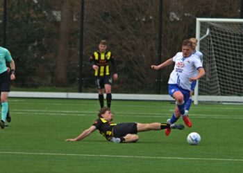 Den Ham mist scorend vermogen