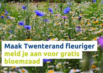 Maak Twenterand fleuriger Meld je aan voor gratis bloemzaad