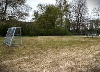 Goed nieuws voor Vroomshoop