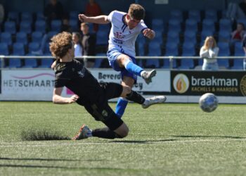 Puntendeling v.v. Den Ham