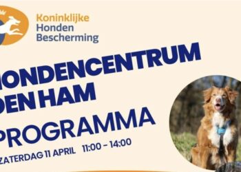 Opendag Hondencentrum Den Ham