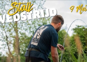 Karper Koppel Stalk Wedstrijd