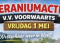 Geraniumactie VV Voorwaarts op vrijdag 1 mei