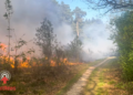 Grote natuurbrand in bosgebied bij Den Ham