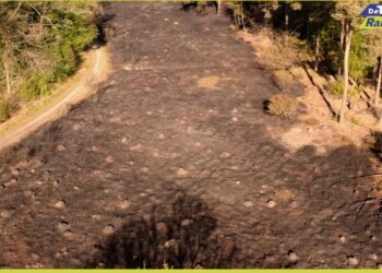 Brand Zandstuvebos Erger voorkomen door snelle inzet