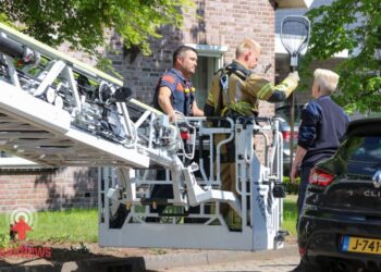 Brandweer redt vastzittende vogel uit dak in Sibculo
