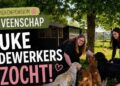 Medewerkers gezocht bij dierenpension