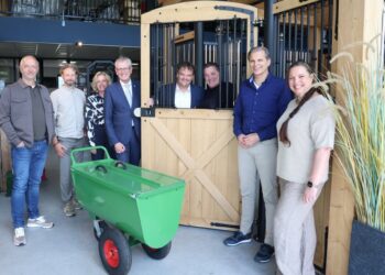 Ondernemen met passie Het verhaal achter het bedrijf Horsefriend