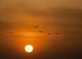 Vanaf morgen hoge temperaturen