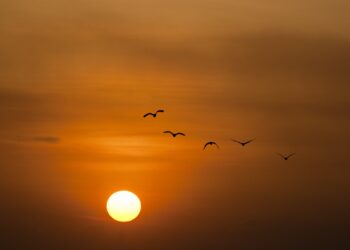 Vanaf morgen hoge temperaturen