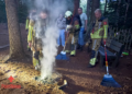 Brand op berm bij Kabouterbos in Vroomshoop Vermoedelijk brandstichting