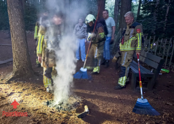 Brand op berm bij Kabouterbos in Vroomshoop Vermoedelijk brandstichting