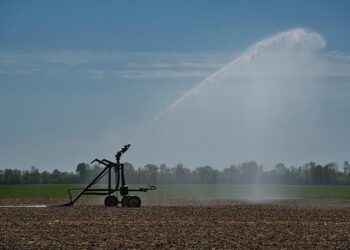 Beregeningsverbod ten noorden van Zwolle van kracht door aanhoudende droogte