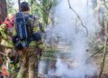 Bosbrand langs Vroomshoopseweg snel onder controle dankzij alerte wandelaar
