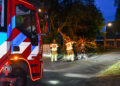Brandweer haalt grote tak van weg in Vroomshoop