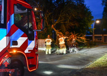 Brandweer haalt grote tak van weg in Vroomshoop
