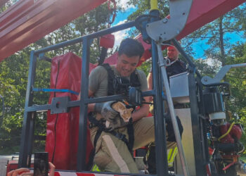 Brandweer redt kitten uit boom in Beerzerveld