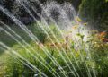 Onttrekkingsverbod geldt ook voor particuliere tuinpompjes