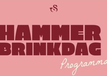 Brink in Den Ham staat donderdag in het teken van de tweede Hammerbrinkdag
