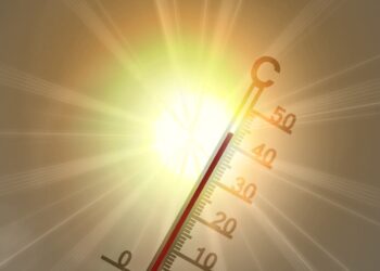 Komende dagen zeer warm
