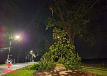 Brandweer verwijdert afgebroken tak van fietspad in Vriezenveen