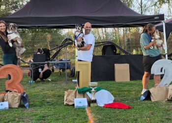 Succesvol EK Dogfrisbee in Zuid-Duitsland voor Amy en haar honden