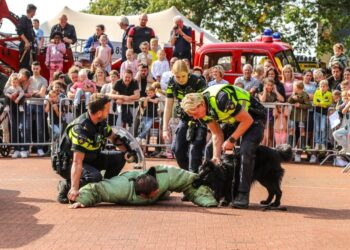 Ruim 4000 bezoekers bij geslaagde open dag gemeentehuis