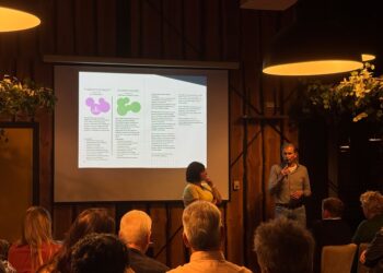Westerhaar Vriezenveensewijk presenteert dorpsvisie Nu begint het