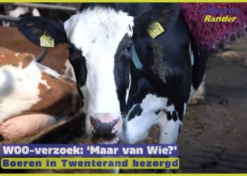 Waarom richten WOO-Verzoeken zich op Twenterand