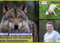 Wolf al een gesignaleerd, vestiging niet bevestigd