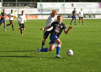 Nipt verlies voor v.v. Den Ham