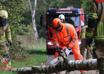 Brandweer Twenterand druk met opruimen stormschade