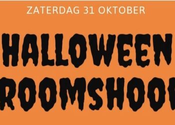Halloween Vroomshoop: inwoners kunnen hun huis aanmelden voor griezelroute